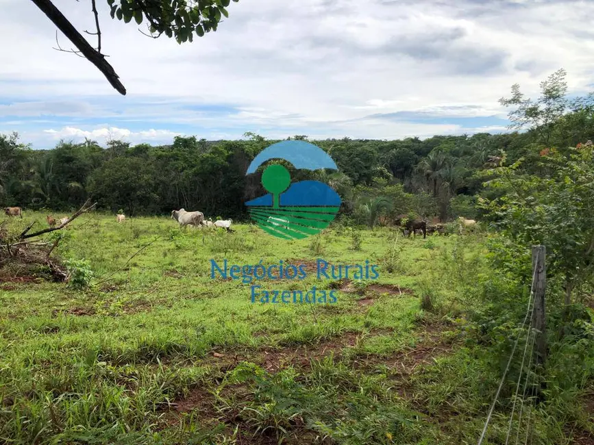 Foto 7 de Fazenda / Haras com 1 quarto à venda, 338m2 em Uruacu - GO