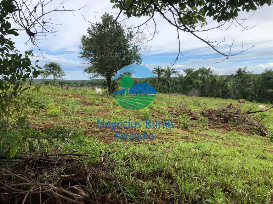 Foto 9 de Fazenda / Haras com 1 quarto à venda, 338m2 em Uruacu - GO