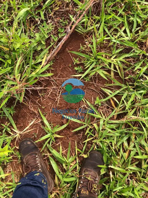 Foto 4 de Fazenda / Haras com 1 quarto à venda, 338m2 em Uruacu - GO