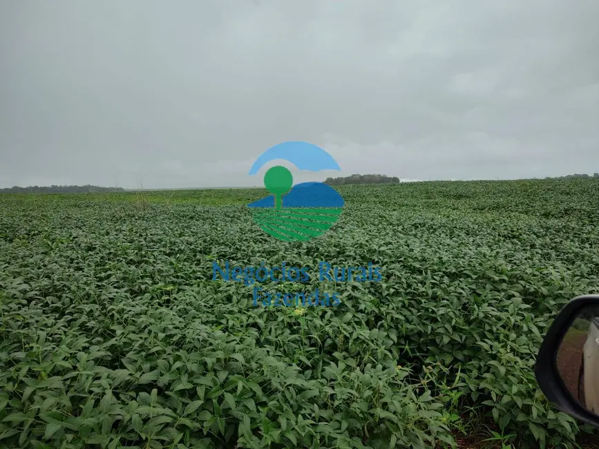 Foto 4 de Fazenda / Haras com 1 quarto à venda, 3204m2 em Araguaina - TO