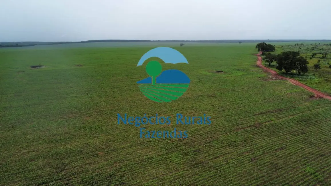 Foto 3 de Fazenda / Haras com 1 quarto à venda, 3204m2 em Araguaina - TO