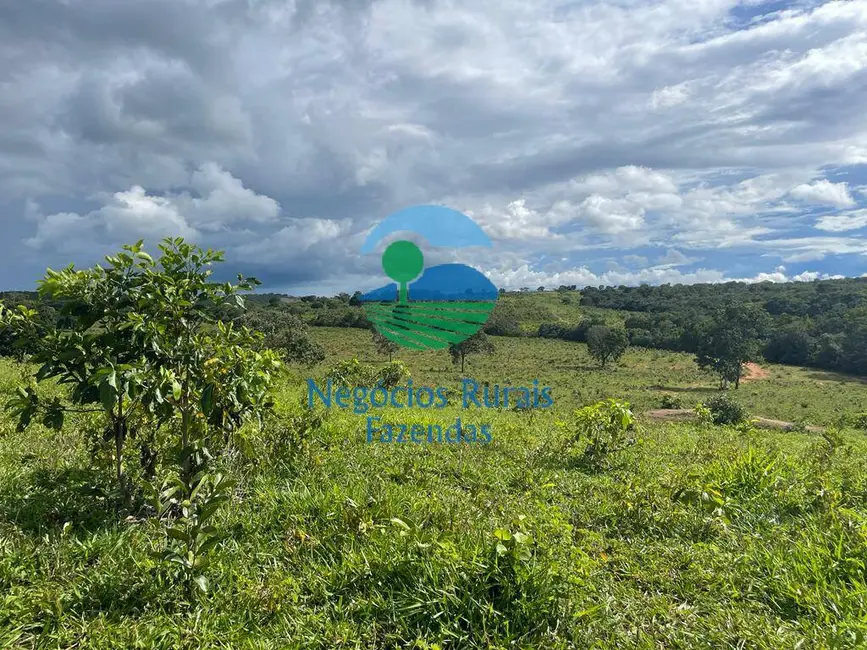 Fazenda / Haras com 1 quarto à venda, 208m2 em Uruacu - GO - imagem 6 Foto 6 de Fazenda / Haras com 1 quarto à venda, 208m2 em Uruacu - GO