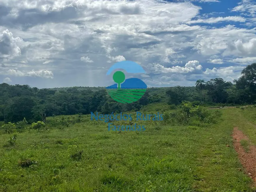 Fazenda / Haras com 1 quarto à venda, 208m2 em Uruacu - GO - imagem 5 Foto 5 de Fazenda / Haras com 1 quarto à venda, 208m2 em Uruacu - GO