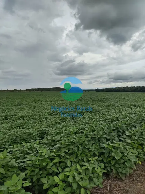 Foto 4 de Fazenda / Haras com 1 quarto à venda, 363m2 em Niquelandia - GO