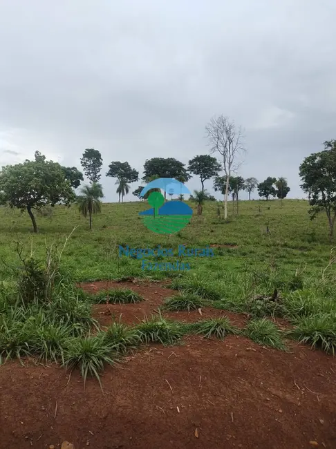 Foto 2 de Fazenda / Haras com 1 quarto à venda, 363m2 em Niquelandia - GO