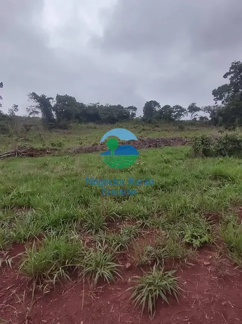 Foto 3 de Fazenda / Haras com 1 quarto à venda, 363m2 em Niquelandia - GO