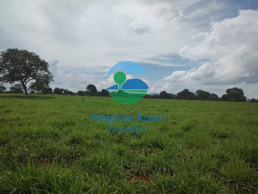 Foto 8 de Fazenda / Haras com 1 quarto à venda, 1116m2 em Alto Horizonte - GO