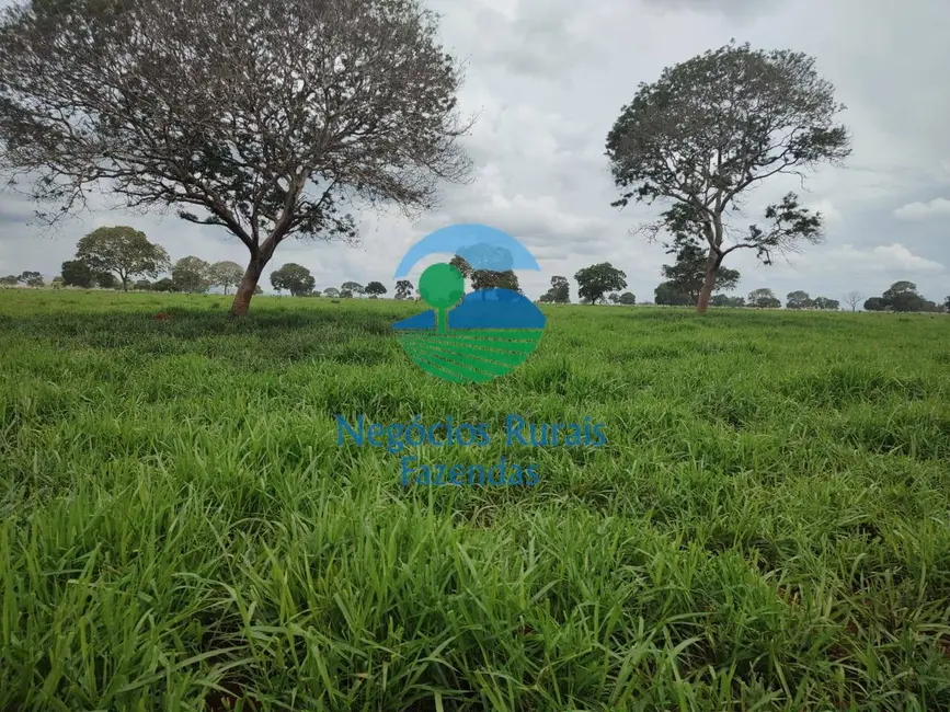 Foto 9 de Fazenda / Haras com 1 quarto à venda, 1116m2 em Alto Horizonte - GO