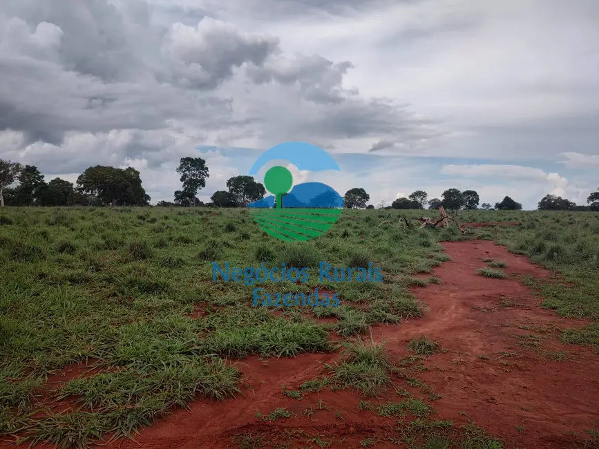 Foto 4 de Fazenda / Haras com 1 quarto à venda, 1116m2 em Alto Horizonte - GO