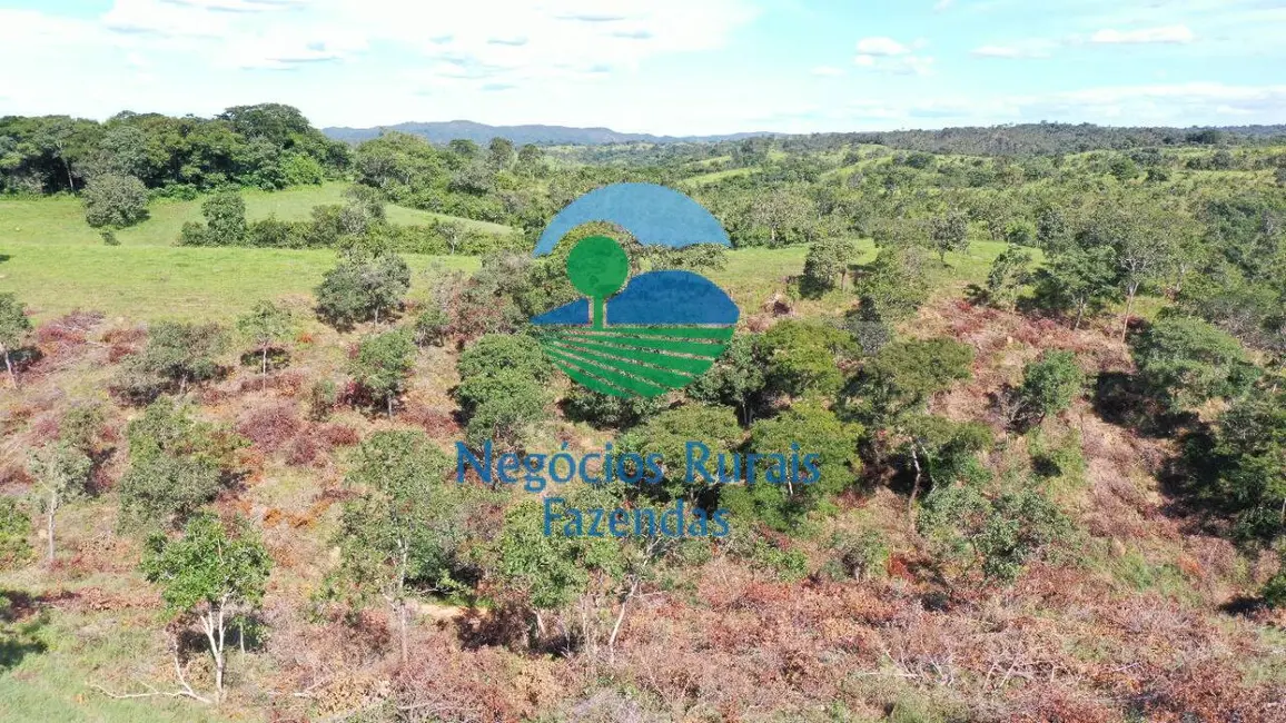 Foto 5 de Fazenda / Haras à venda, 537m2 em Padre Bernardo - GO