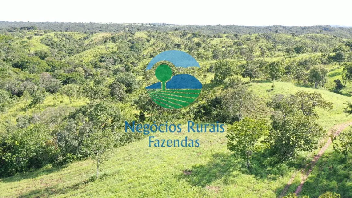 Foto 4 de Fazenda / Haras à venda, 537m2 em Padre Bernardo - GO