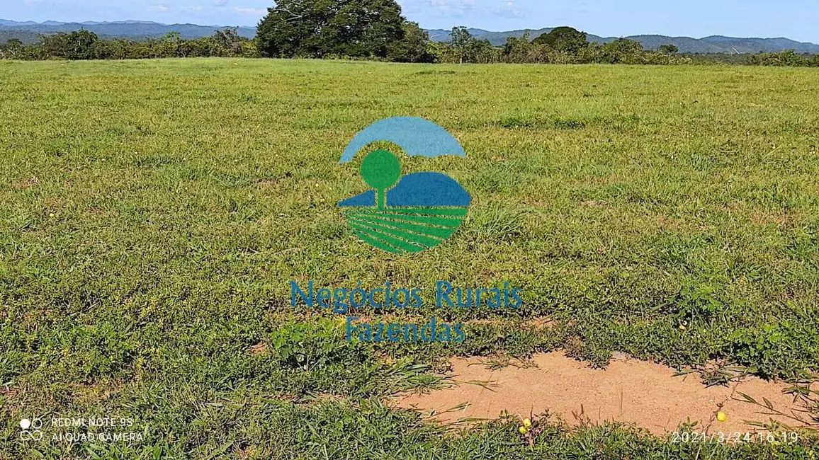 Foto 8 de Fazenda / Haras à venda, 537m2 em Padre Bernardo - GO
