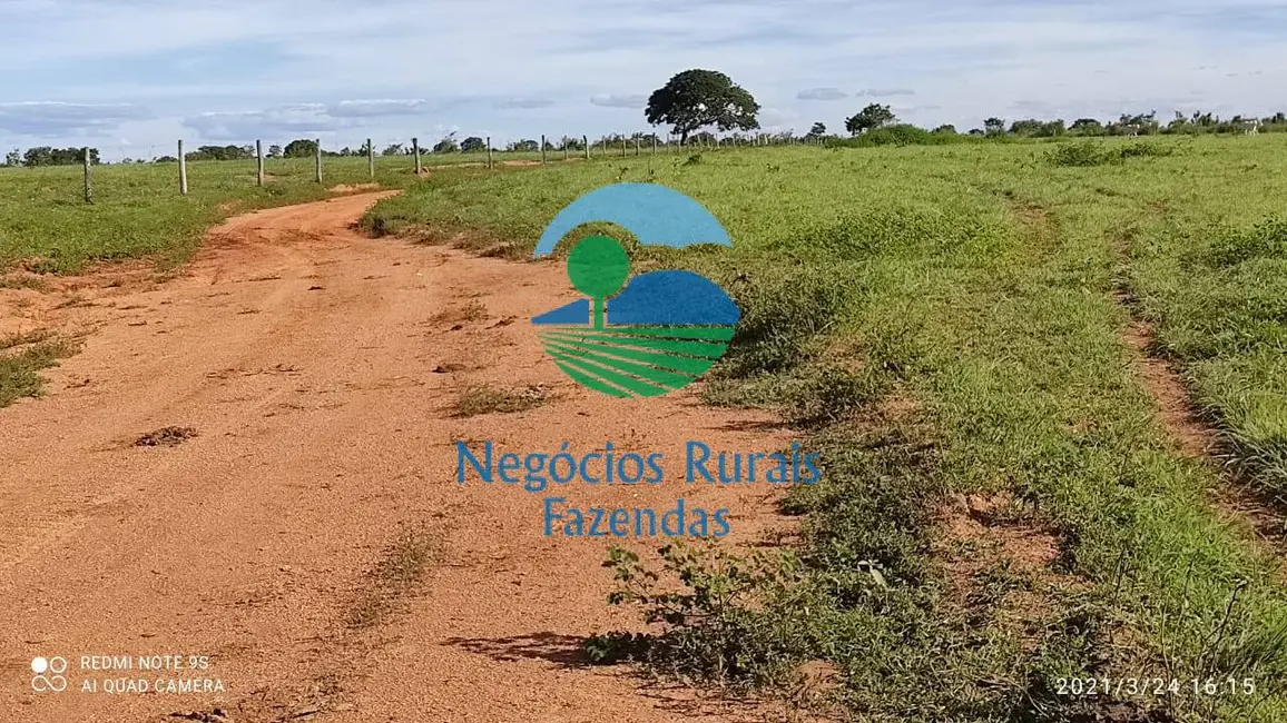 Foto 2 de Fazenda / Haras à venda, 537m2 em Padre Bernardo - GO