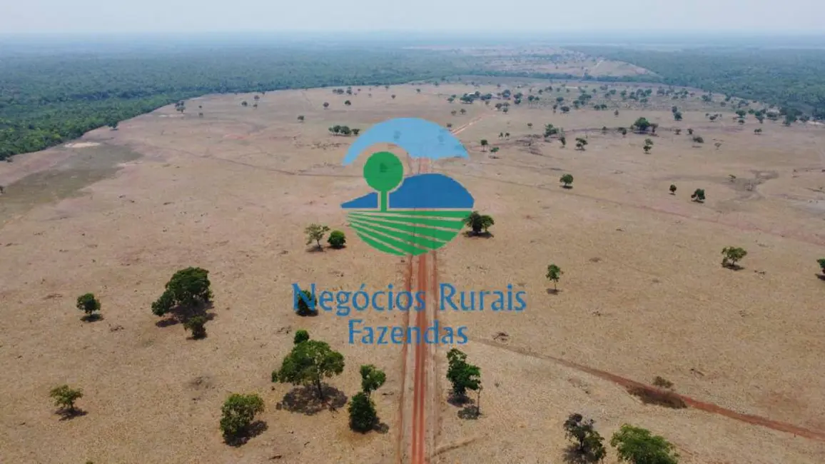 Fazenda / Haras com 1 quarto à venda, 961m2 em Paraiso Do Tocantins - TO - imagem 6 Foto 6 de Fazenda / Haras com 1 quarto à venda, 961m2 em Paraiso Do Tocantins - TO