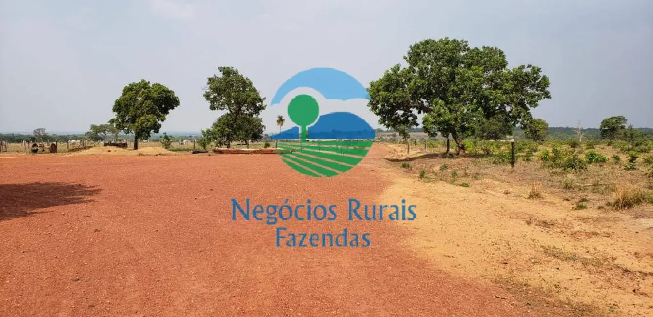 Fazenda / Haras com 1 quarto à venda, 961m2 em Paraiso Do Tocantins - TO - imagem 8 Foto 8 de Fazenda / Haras com 1 quarto à venda, 961m2 em Paraiso Do Tocantins - TO