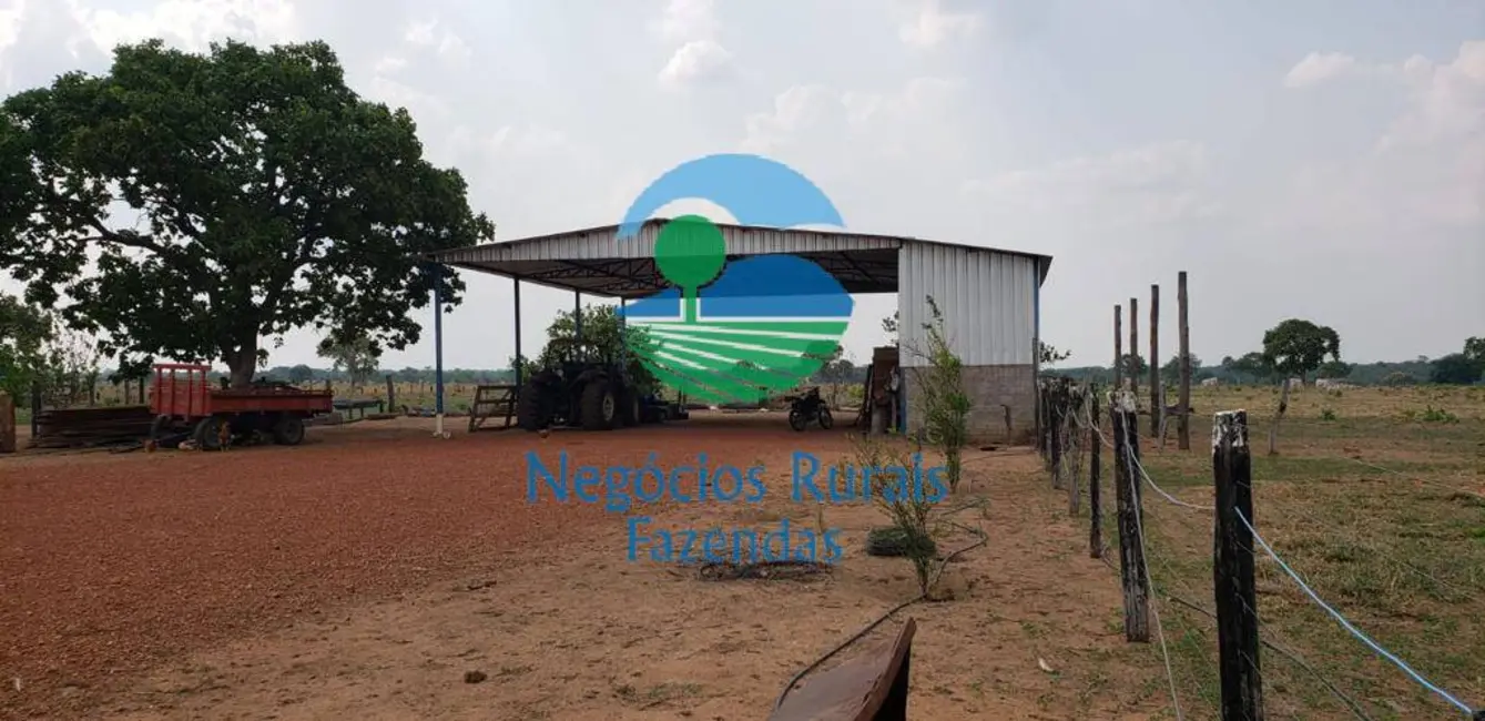 Fazenda / Haras com 1 quarto à venda, 961m2 em Paraiso Do Tocantins - TO - imagem 7 Foto 7 de Fazenda / Haras com 1 quarto à venda, 961m2 em Paraiso Do Tocantins - TO