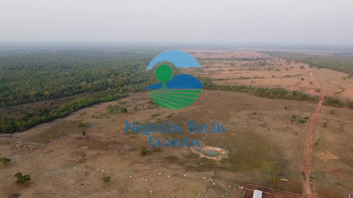 Fazenda / Haras com 1 quarto à venda, 961m2 em Paraiso Do Tocantins - TO - imagem 5 Foto 5 de Fazenda / Haras com 1 quarto à venda, 961m2 em Paraiso Do Tocantins - TO
