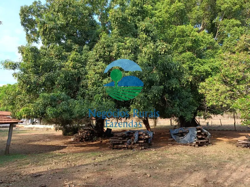 Foto 9 de Fazenda / Haras com 1 quarto à venda, 562m2 em Padre Bernardo - GO