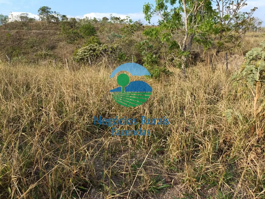 Foto 5 de Fazenda / Haras com 1 quarto à venda, 562m2 em Padre Bernardo - GO