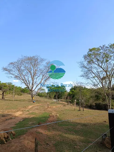 Foto 6 de Fazenda / Haras com 1 quarto à venda, 562m2 em Padre Bernardo - GO