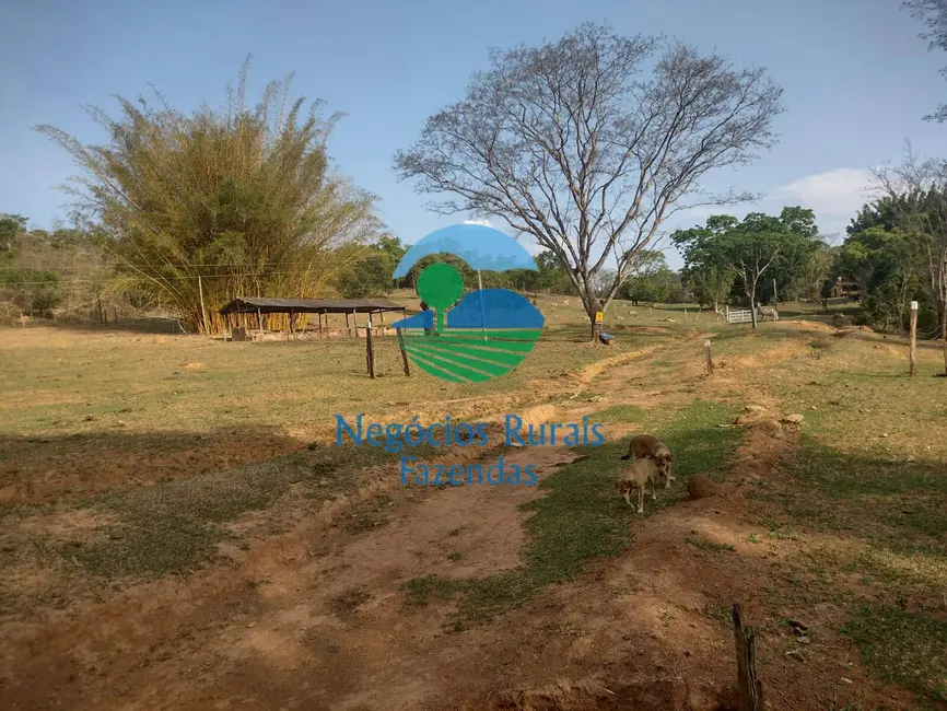 Foto 1 de Fazenda / Haras com 1 quarto à venda, 562m2 em Padre Bernardo - GO