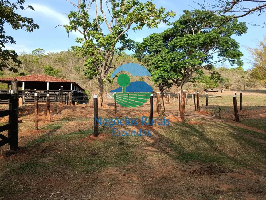 Foto 7 de Fazenda / Haras com 1 quarto à venda, 562m2 em Padre Bernardo - GO