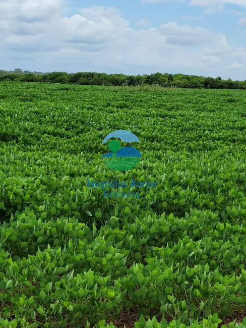 Fazenda / Haras com 1 quarto à venda, 513m2 em Silvanopolis - TO - imagem 2 Foto 2 de Fazenda / Haras com 1 quarto à venda, 513m2 em Silvanopolis - TO