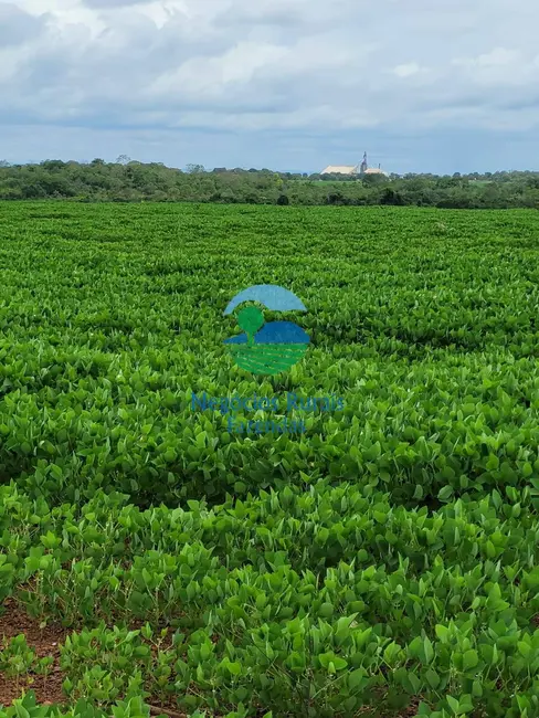 Fazenda / Haras com 1 quarto à venda, 513m2 em Silvanopolis - TO - imagem 3 Foto 3 de Fazenda / Haras com 1 quarto à venda, 513m2 em Silvanopolis - TO