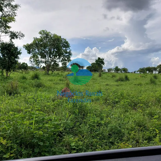 Foto 7 de Fazenda / Haras com 1 quarto à venda, 639m2 em Santa Rosa Do Tocantins - TO