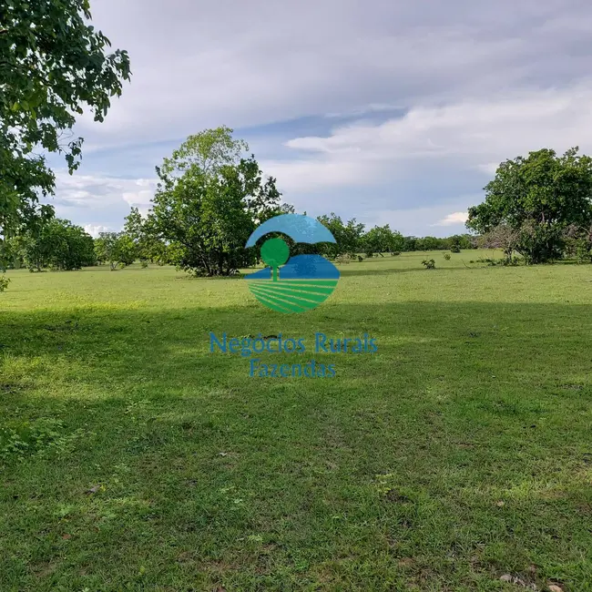 Foto 3 de Fazenda / Haras com 1 quarto à venda, 639m2 em Santa Rosa Do Tocantins - TO