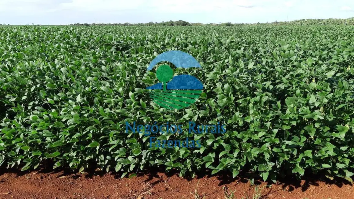 Foto 6 de Fazenda / Haras com 1 quarto à venda, 1108m2 em Dois Irmaos Do Tocantins - TO