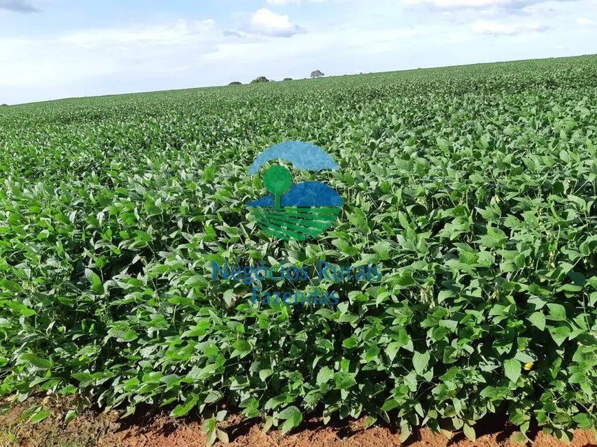 Foto 2 de Fazenda / Haras com 1 quarto à venda, 1108m2 em Dois Irmaos Do Tocantins - TO