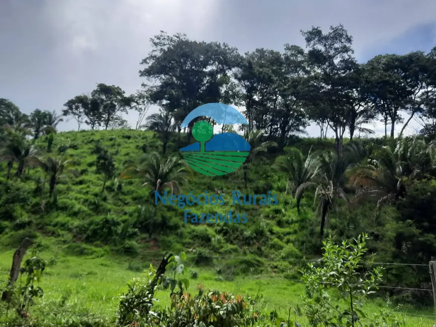 Foto 1 de Fazenda / Haras com 1 quarto à venda, 401m2 em Mimoso De Goias - GO