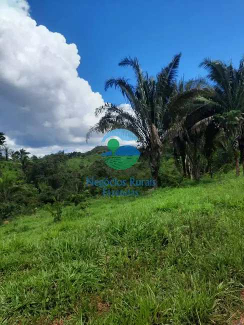 Foto 7 de Fazenda / Haras com 1 quarto à venda, 401m2 em Mimoso De Goias - GO