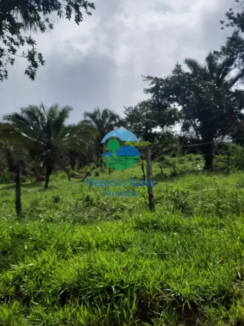 Foto 3 de Fazenda / Haras com 1 quarto à venda, 401m2 em Mimoso De Goias - GO