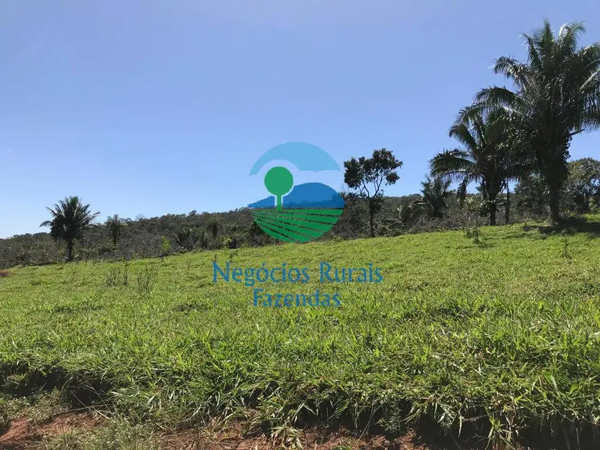 Foto 9 de Fazenda / Haras com 1 quarto à venda, 145m2 em Formoso - GO