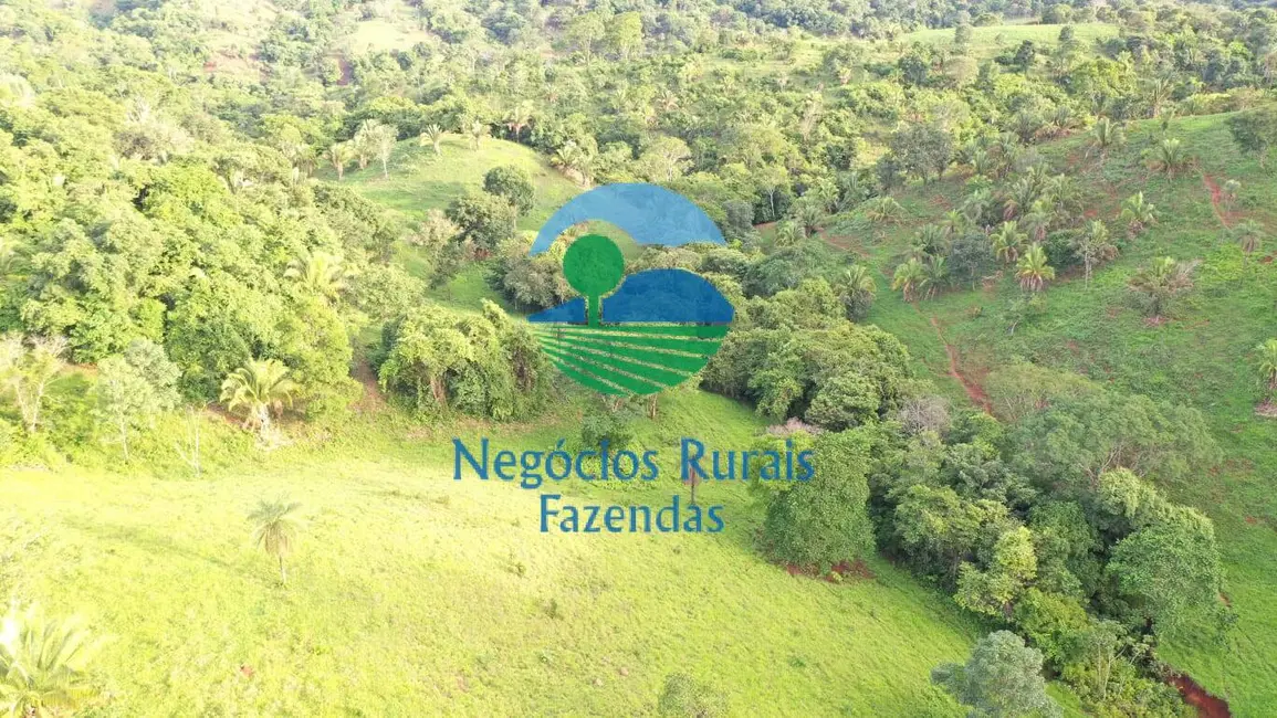 Foto 2 de Fazenda / Haras com 1 quarto à venda, 145m2 em Formoso - GO