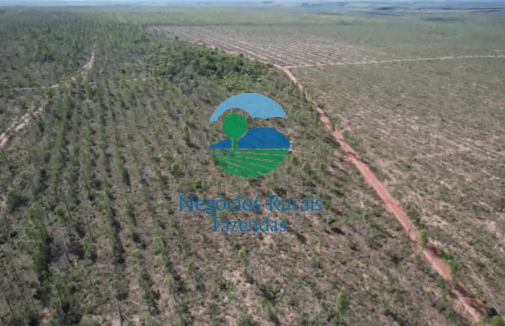 Foto 3 de Fazenda / Haras com 1 quarto à venda, 2613m2 em Palmas - TO