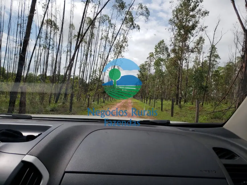 Foto 4 de Fazenda / Haras com 1 quarto à venda, 2613m2 em Palmas - TO