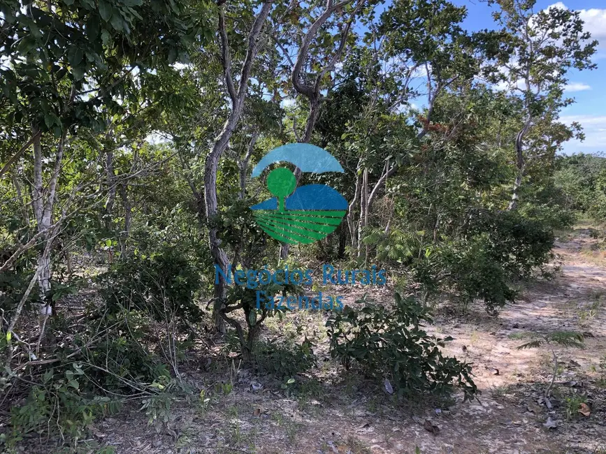 Foto 6 de Fazenda / Haras com 1 quarto à venda, 484m2 em Uruacu - GO