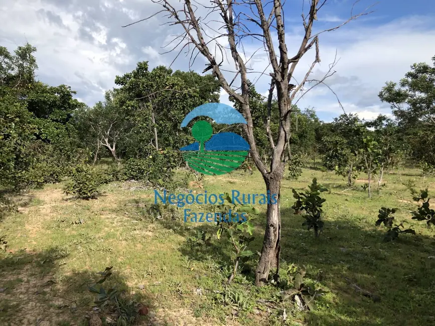 Foto 5 de Fazenda / Haras com 1 quarto à venda, 484m2 em Uruacu - GO