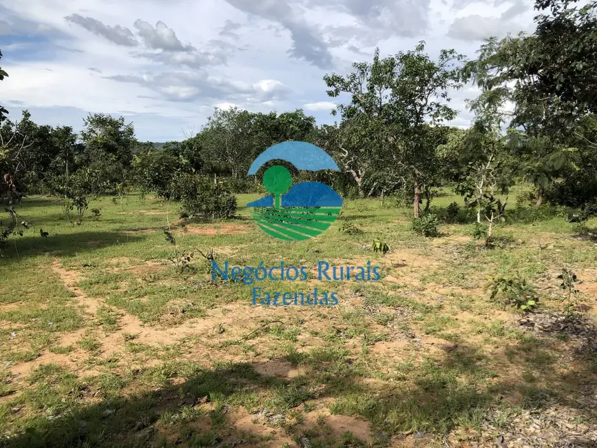 Foto 7 de Fazenda / Haras com 1 quarto à venda, 484m2 em Uruacu - GO