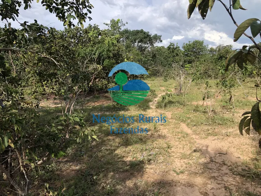 Foto 8 de Fazenda / Haras com 1 quarto à venda, 484m2 em Uruacu - GO