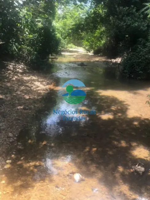 Foto 3 de Fazenda / Haras com 1 quarto à venda, 1021m2 em Cavalcante - GO