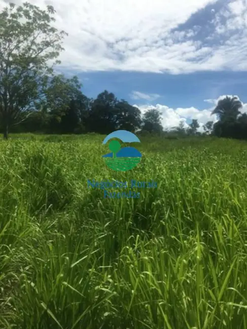 Foto 9 de Fazenda / Haras com 1 quarto à venda, 1021m2 em Cavalcante - GO