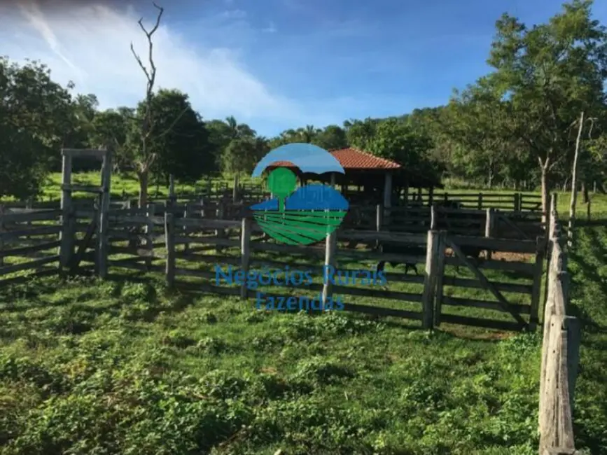 Foto 2 de Fazenda / Haras com 1 quarto à venda, 1021m2 em Cavalcante - GO