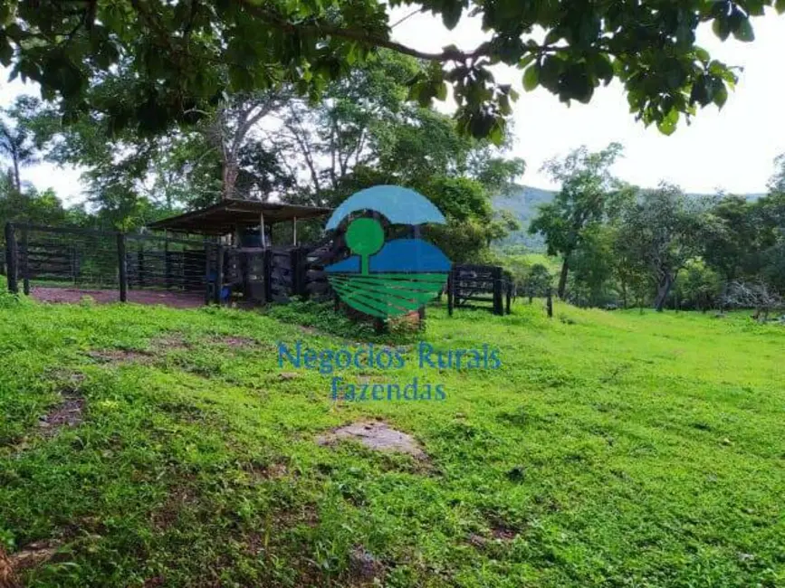 Foto 2 de Fazenda / Haras à venda, 96m2 em Hidrolandia - GO