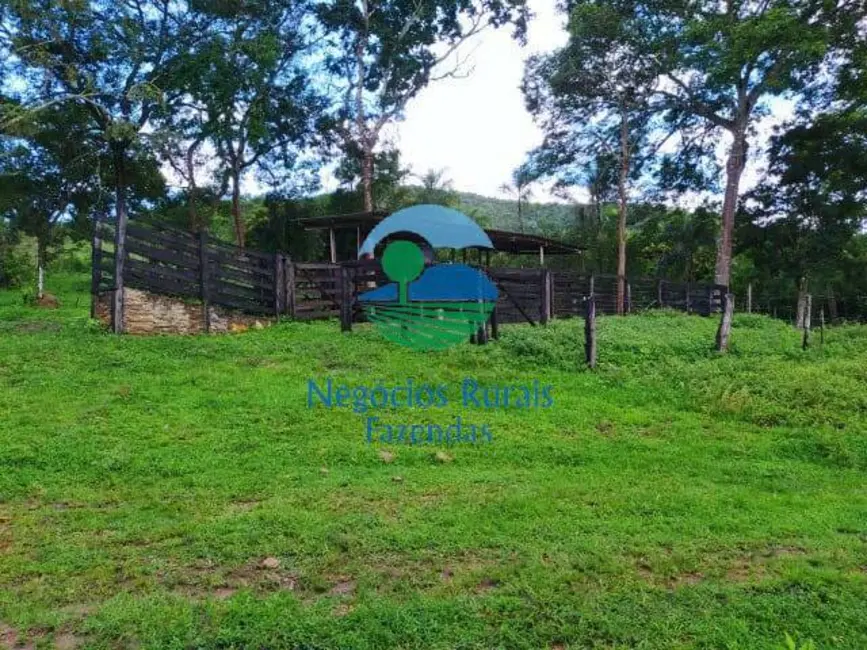 Foto 7 de Fazenda / Haras à venda, 96m2 em Hidrolandia - GO
