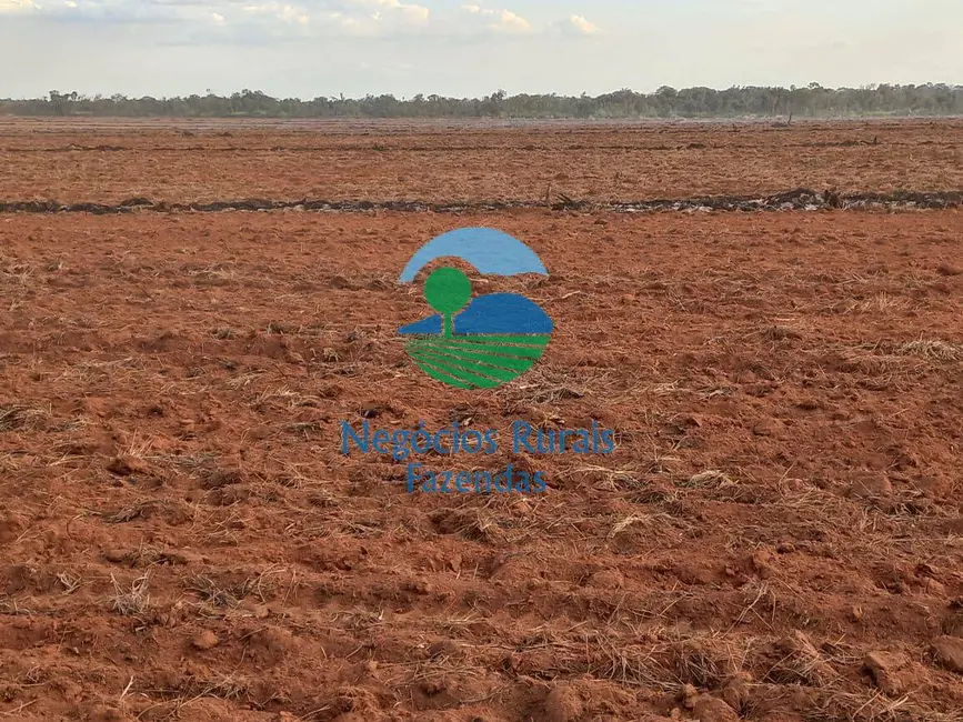 Foto 6 de Fazenda / Haras com 1 quarto à venda, 10000m2 em Palmas - TO