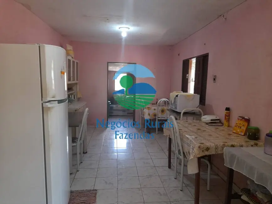 Fazenda / Haras com 1 quarto à venda, 70m2 em Floriano - PI - imagem 6 Foto 6 de Fazenda / Haras com 1 quarto à venda, 70m2 em Floriano - PI